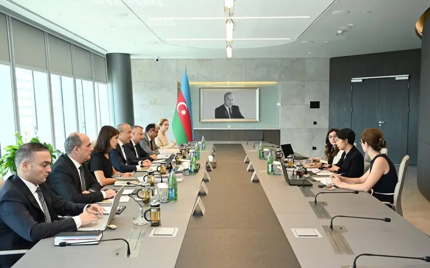 Azərbaycan IMF ilə vergi islahatlarını müzakirə edib