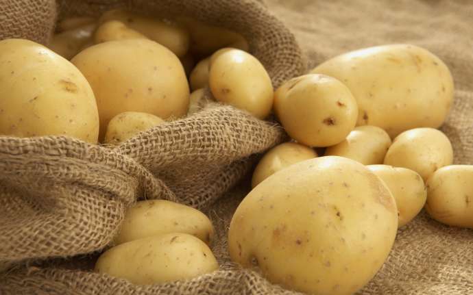 Kartofun idxalı azalıb, ixracı artıb - 9 ayın STATİSTİK RƏQƏMLƏRİ