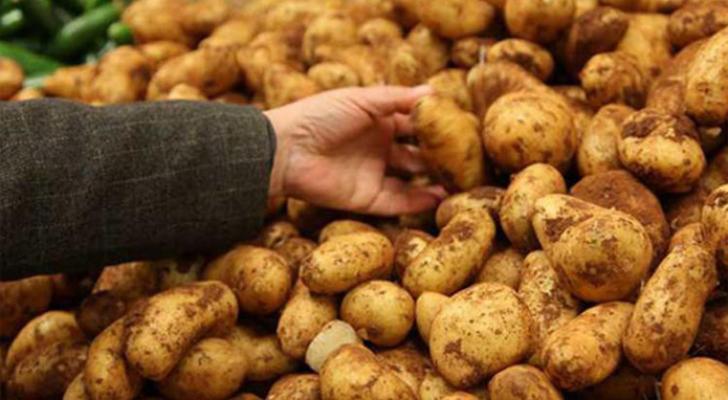 “Kartofu bir-bir özümüz seçib almalıyıq”-Dietoloqdan XƏBƏRDARLIQ