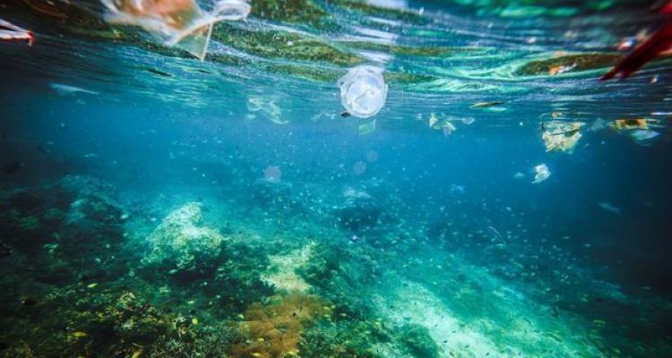 Dünya okeanı çirklənir: 12 milyon ton plastik ekosistemi dəyişir
