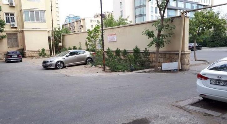 Bakıda ağaclar kütləvi şəkildə kəsilib? - AÇIQLAMA + FOTO