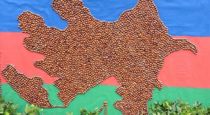 Azərbaycanda dünyada 2-ci fındıq istehsalçısı ola bilər