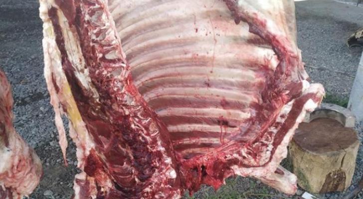 Azərbaycanda 400 kq leş ətin satışa çıxarılmasının qarşısı alındı - FOTO