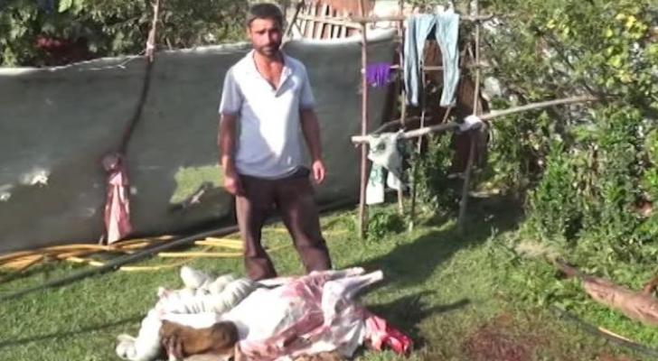 “Leş Tofiq”dən sonra “Leş Elgün” də ələ keçdi - VİDEO