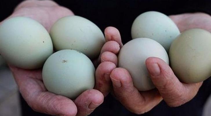 Azərbaycanda biri beş manata olan yumurta satılır - FOTO