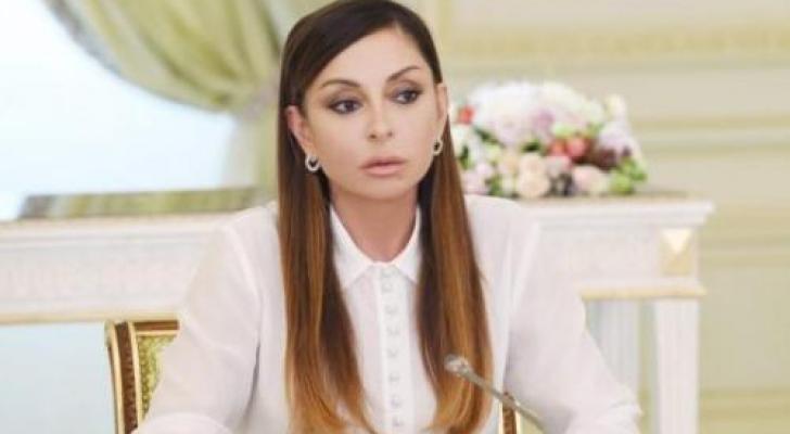 Birinci vitse-prezidentin təşəbbüsü ilə rekorda imza atılacaq - VİDEO