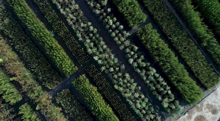 Azərbaycanda yeni bir rekorda imza atılacaq - Foto