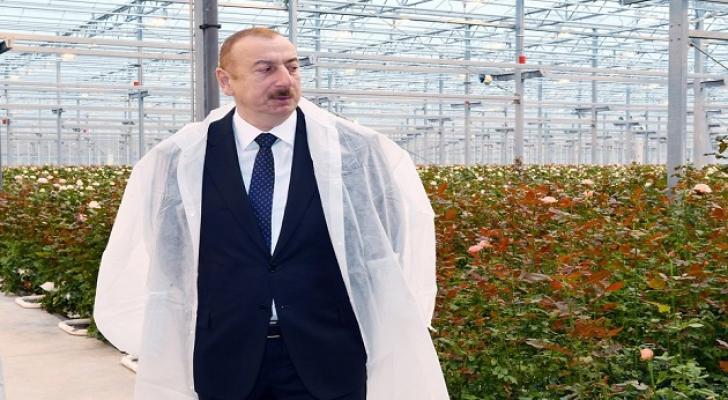 Prezident Qəbələdə gülçülük istixanası ilə tanış olub