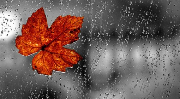 Yağıntılı hava şəraiti nə vaxta kimi davam edəcək? - HAVA PROQNOZU