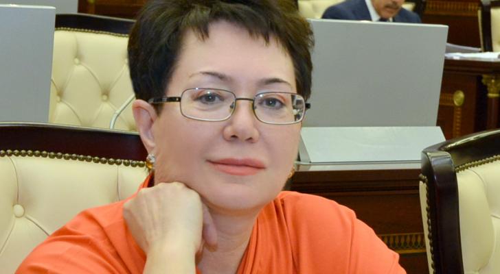 Deputat parlamentdə bu saytın adını çəkdi - Kəskin və təhqiredici ifadələrə görə