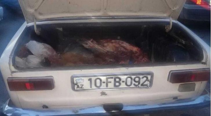 İsmayıllıda avtomobildə at əti daşıyan şəxs saxlanılıb - FOTO