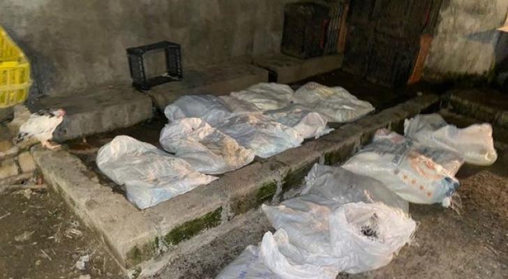 Bakıda daha bir sexdə iyrənc mənzərə: Müəssisə bağlandı - FOTO
