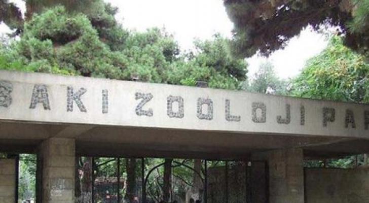 "Bakı Zooparkı"nda heyvanlara nə yedirdirlər? - TAM SİYAHI