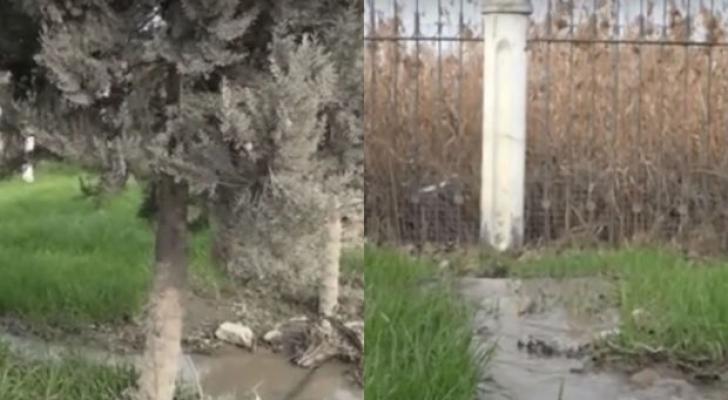 Kanalizasiya suları Ceyranbatan su anbarına axıdılır? - VİDEO