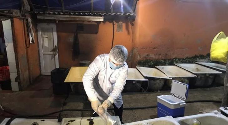 Bakıda quş əti emalı müəssisəsində iyrənc mənzərə - FOTO