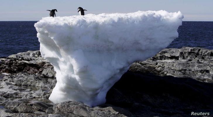 Antarktidada anomal istilər müşahidə olunur