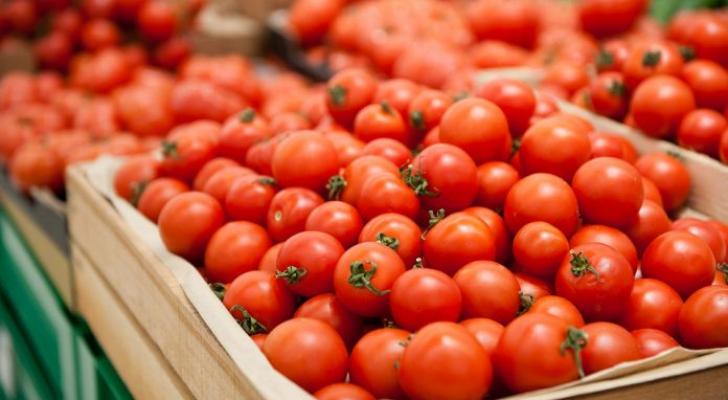 Pomidor istehsalçılarının nəzərinə: Rusiyada qiymətlər gözlənildiyindən yüksək olacaq