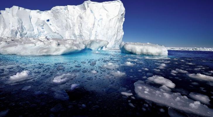 Antarktidada istilik rekord həddə çatıb - FOTO