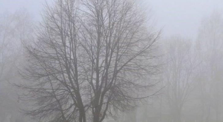 Sabahın havası: Duman, külək
