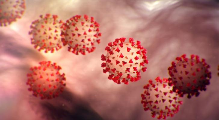 Koronavirus pandemiyasının bitəcəyi tarix açıqlandı