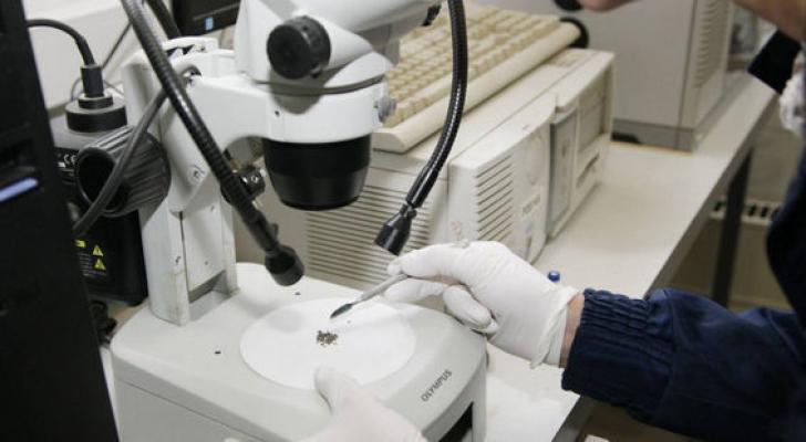 İranda 33 milyon insan koronavirus testindən keçirildi