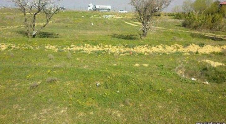 Yararlı torpaqlara görə sığorta haqqı azaldılır - 5 hektara 20 manat