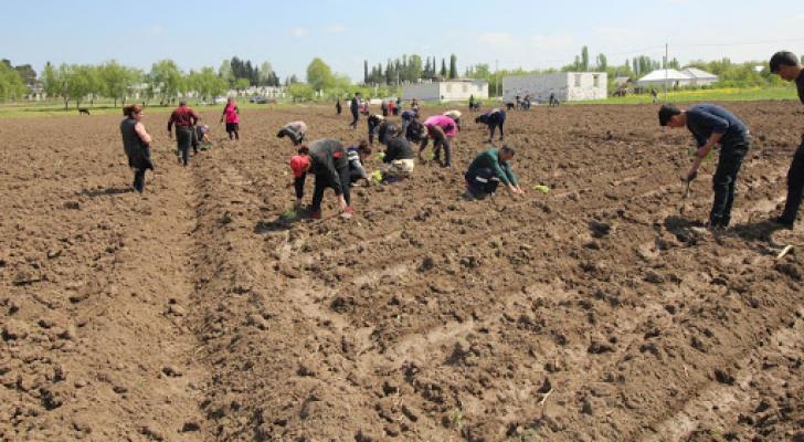 AQTA: “Əkin sahələrində işləyənlər iki metrlik məsafə saxlamalıdır”