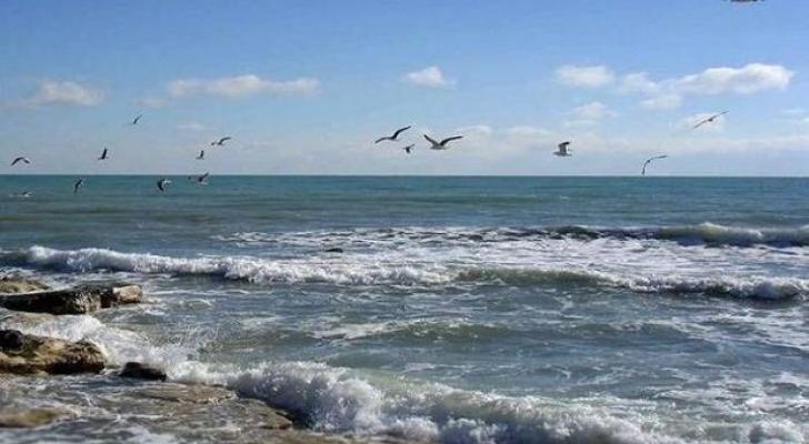 Xəzərin sahilində növbəti monitorinq keçirildi