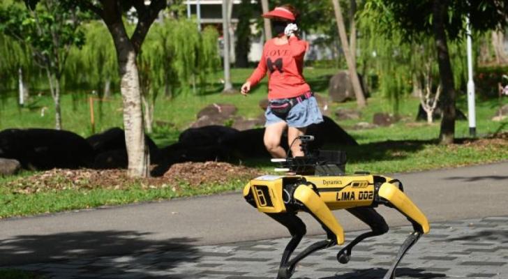Bu ölkədə karantinə riayət olunmasına robot-itlər nəzarət edir