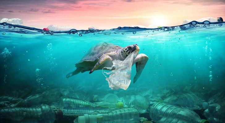 Dəniz havasında tonlarla mikroplastik maddə aşkarlandı