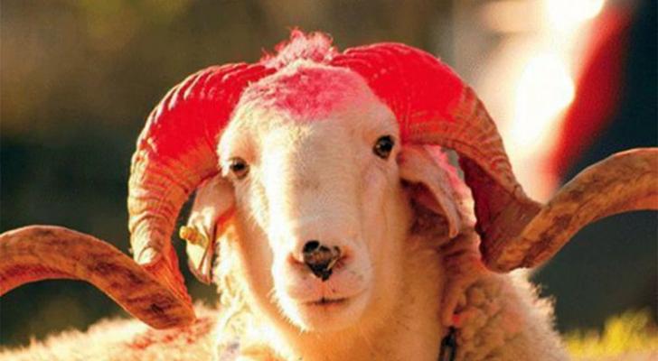 Azərbaycanda Qurban Bayramı bu tarixdə qeyd olunacaq - RƏSMİ AÇIQLAMA