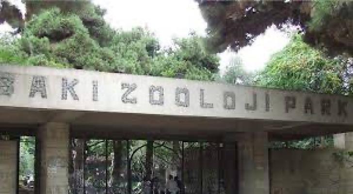 Zoopark nə vaxt açılacaq? - AÇIQLAMA