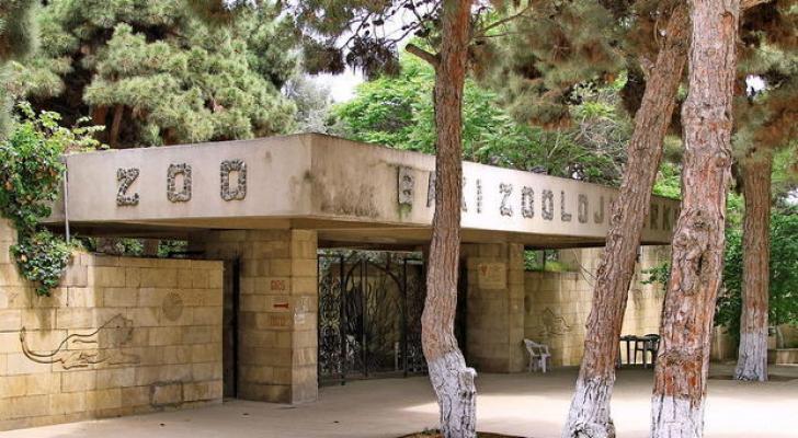 Bakı zooparkında təmir nə vaxt başa çatacaq? - AÇIQLAMA