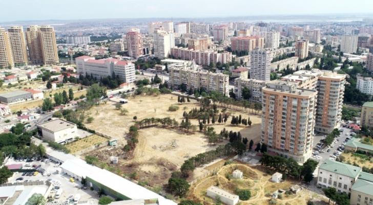 İlham Əliyev Yasamalda salınacaq meşə tipli yeni parkda görüləcək işlərlə tanış olub