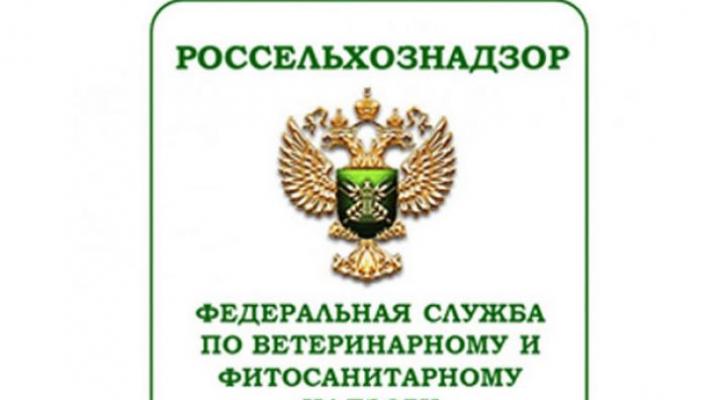 Azərbaycan Rusiya şirkətlərinə icazə verdi