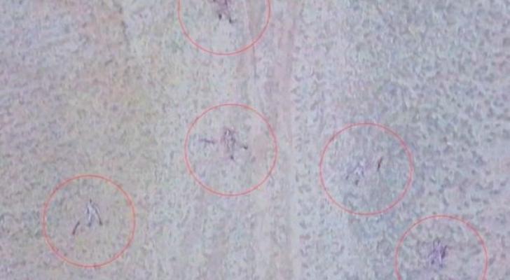 Talış kəndi ətrafındakı əlverişli yüksəkliklər təmizləndi: Düşmən xeyli itki verdi - RƏSMİ