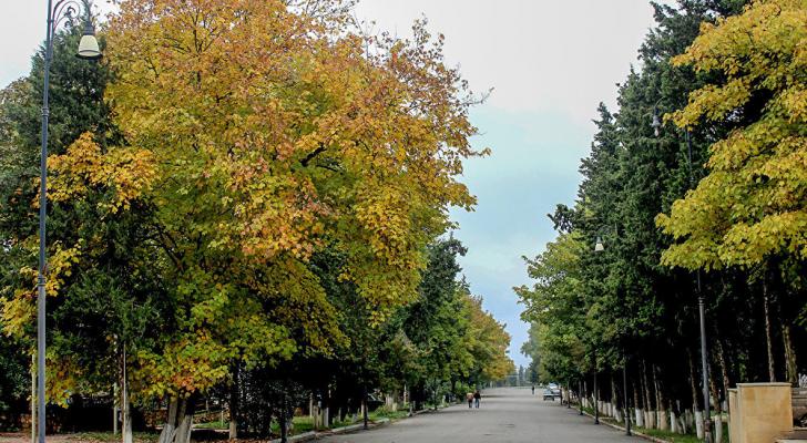 Sabahın havası