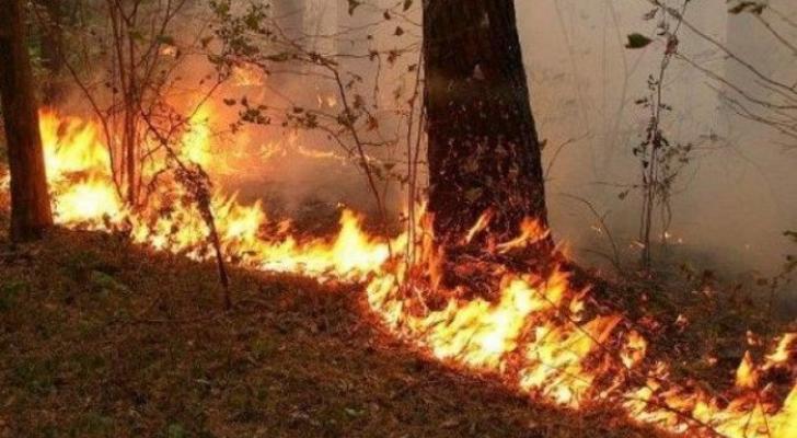 Düşmən Şuşada meşələri ağ fosforla yandırır...Ombudsmandan HƏYƏCAN TƏBİLİ