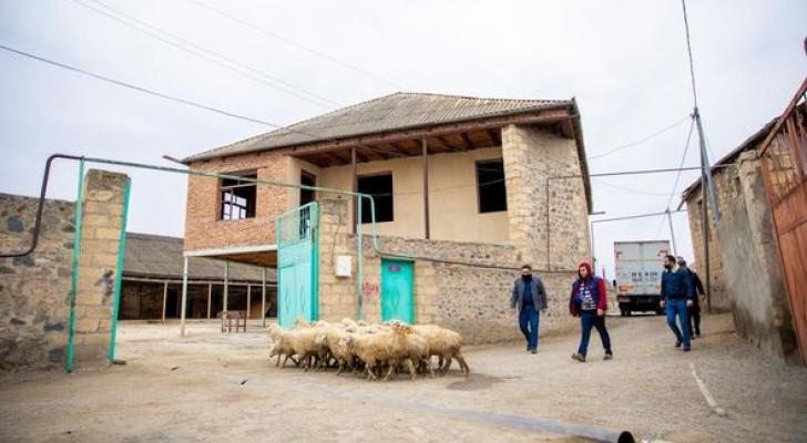 Bir qrup şəhid ailəsi və müharibə iştirakçısı üçün kiçik təsərrüfatlar yaradıldı - FOTO