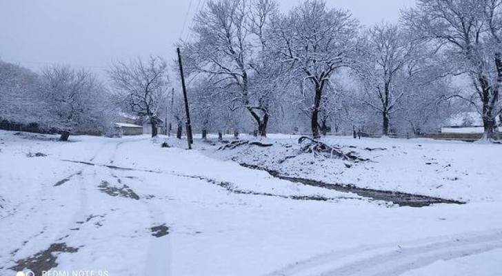 Şəkiyə ilk qar yağdı - FOTO