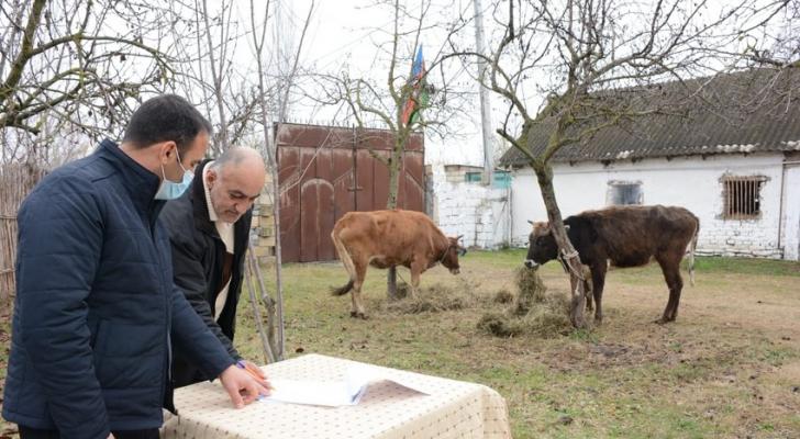 Daha iki rayonun şəhid ailələri və müharibə iştirakçıları üçün təsərrüfatlar yaradıldı