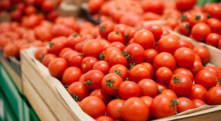 Qadağalara baxmayaraq Azərbaycan pomidor ixracında rekord vurub