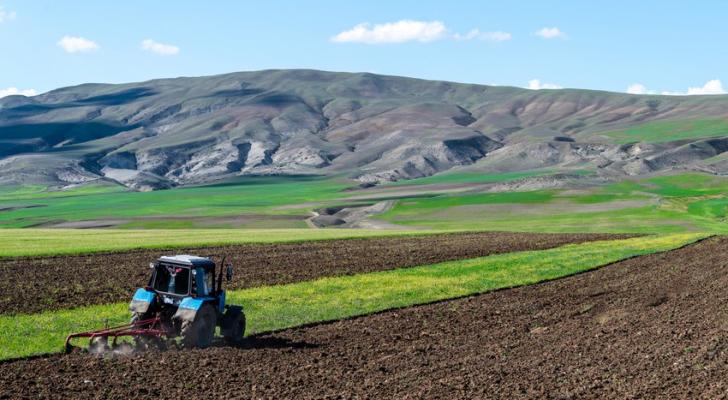 Azərbaycanda son 10 ildə 248,2 min hektar torpaq sahəsi əkinə cəlb edilib