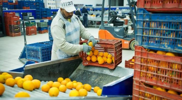 Dəyəri 16 milyon manat olan yeni zavod fəaliyyətə başlayır