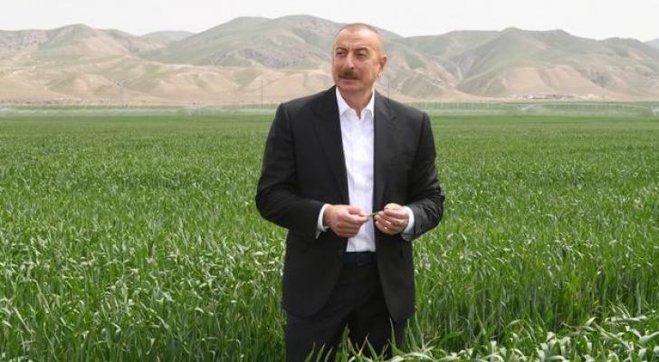 Hacıqabulda “Aqro Dairy” MMC-nin aqroparkının təqdimatı oldu