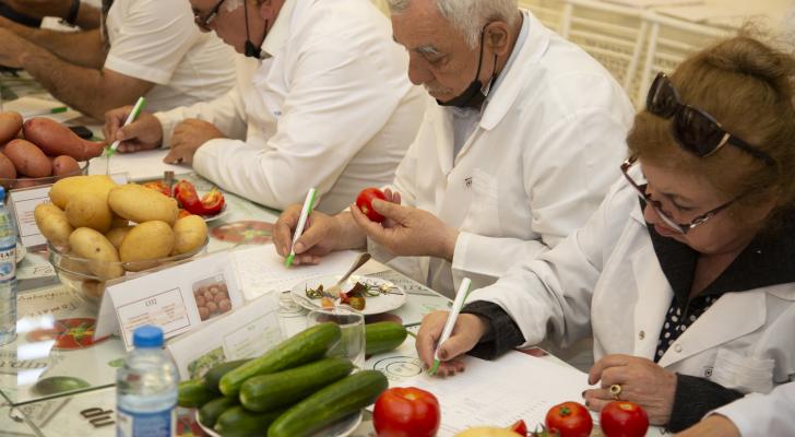 Ölkədə yeni tərəvəz növləri yaradılıb – FOTOLAR