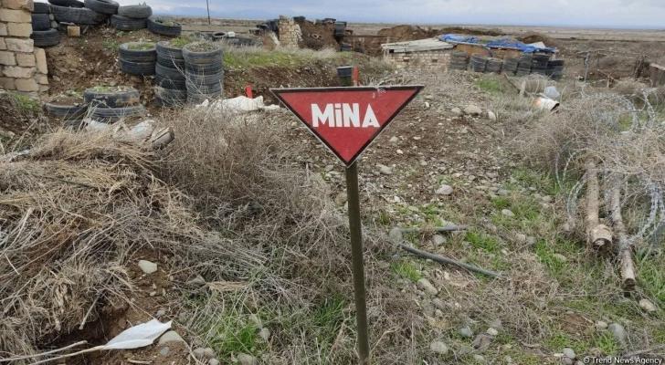 ANAMA əməkdaşı minaya düşdü