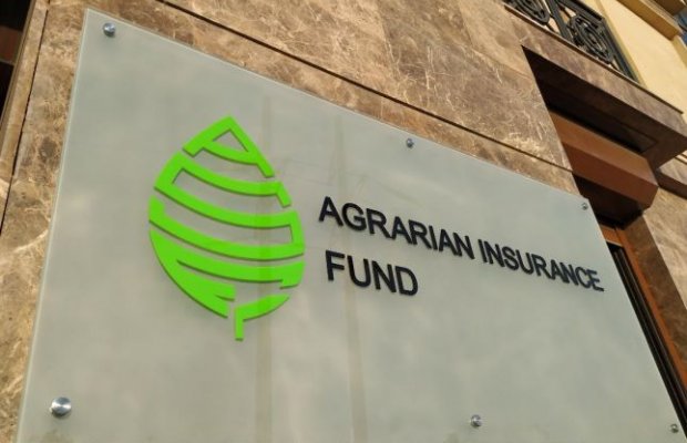 Aqrar Sigorta Fondunun əməkdaşı beynəlxalq aktuari sertifikatı alıb
