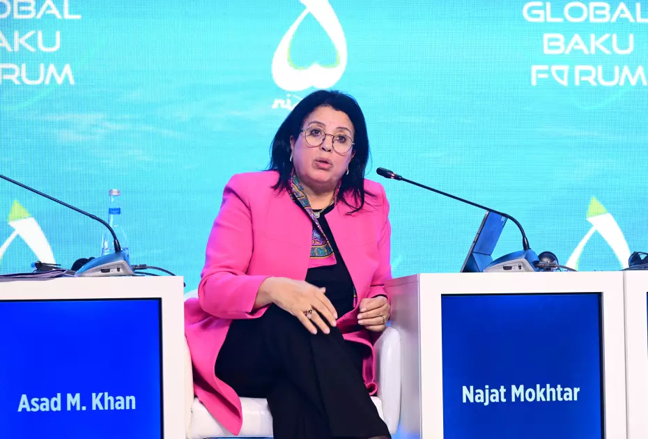 Bakı Forumunda panel müzakirəsi: “Gələcək üçün BMT paktı: Yeni qlobal konsensusun yaradılması” - FOTO - Foto 2