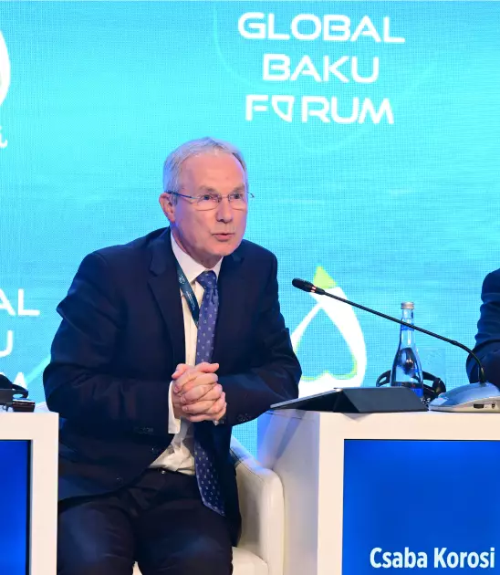 Bakı Forumunda panel müzakirəsi: “Gələcək üçün BMT paktı: Yeni qlobal konsensusun yaradılması” - FOTO - Foto 8
